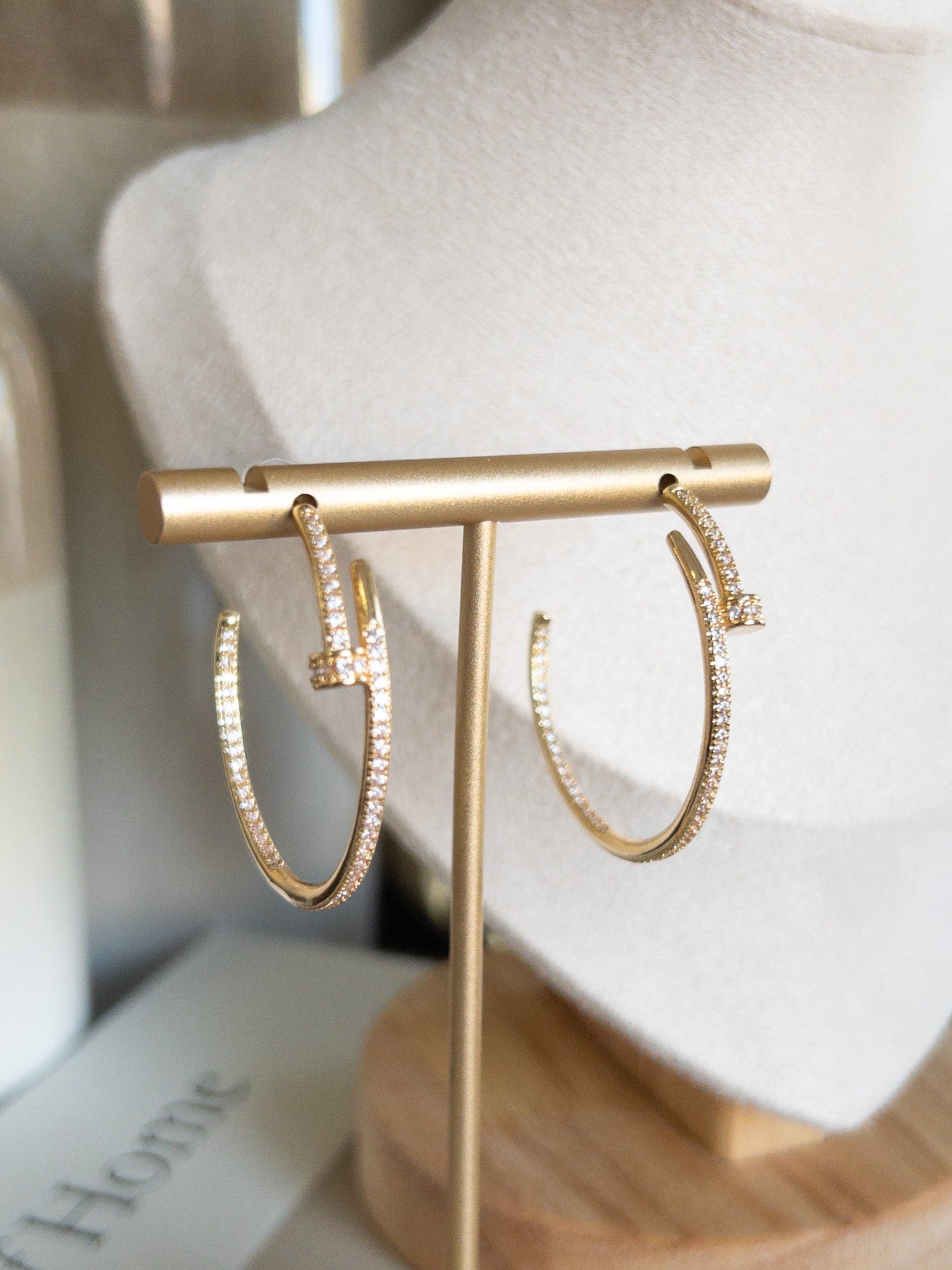 LUXURIOUS HOOP EARRINGS