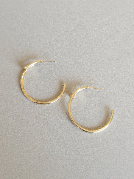 LUXURIOUS HOOP EARRINGS